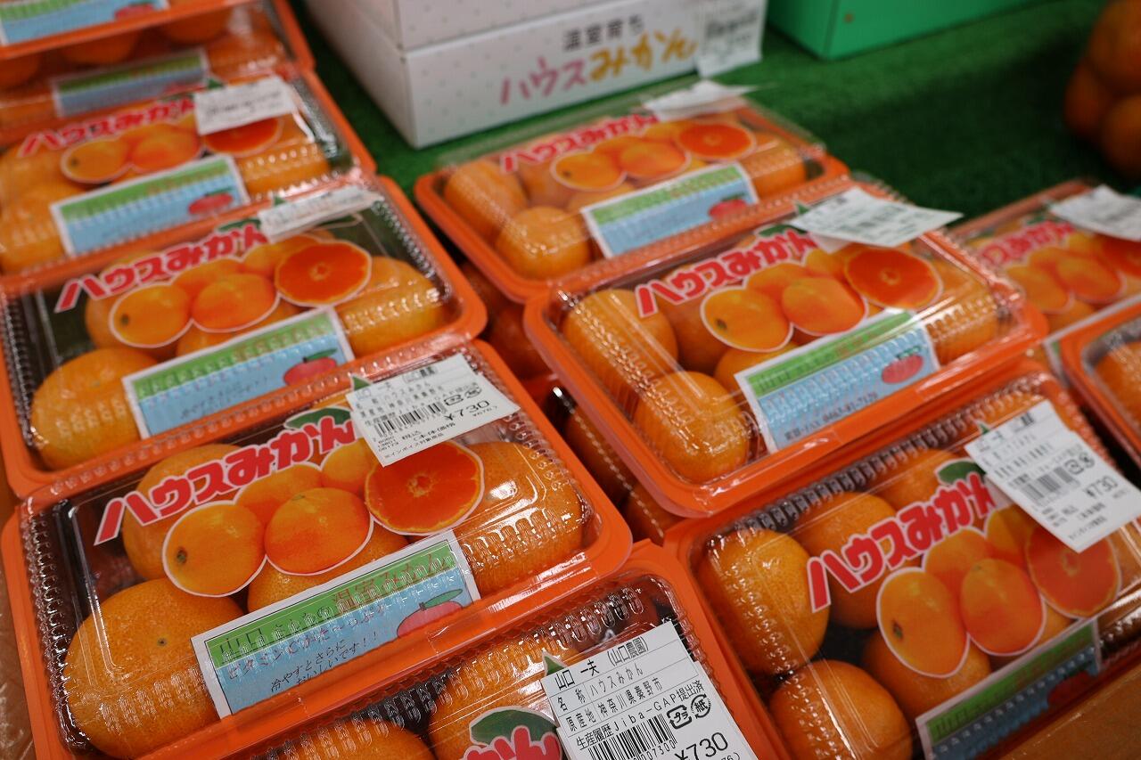 商品写真