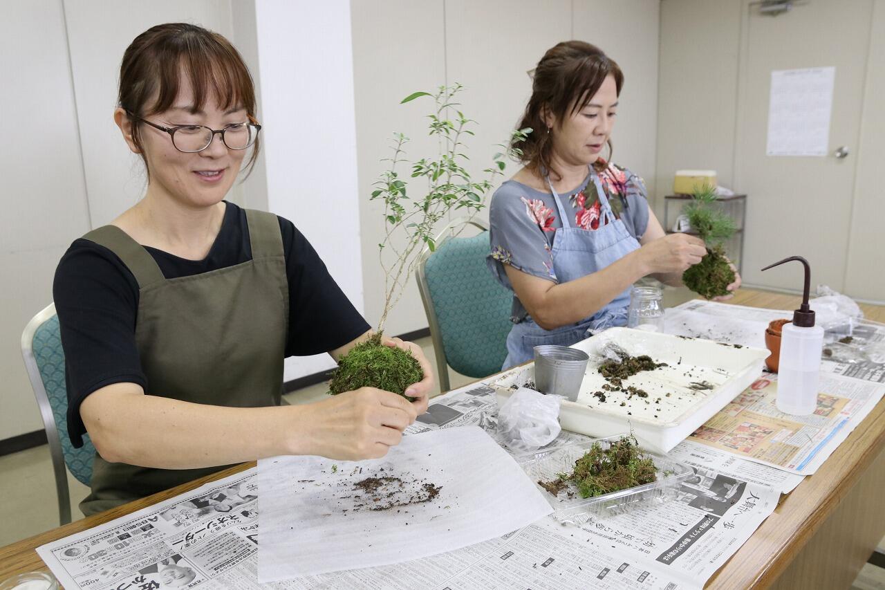 フレミズ講座でコケ玉作り